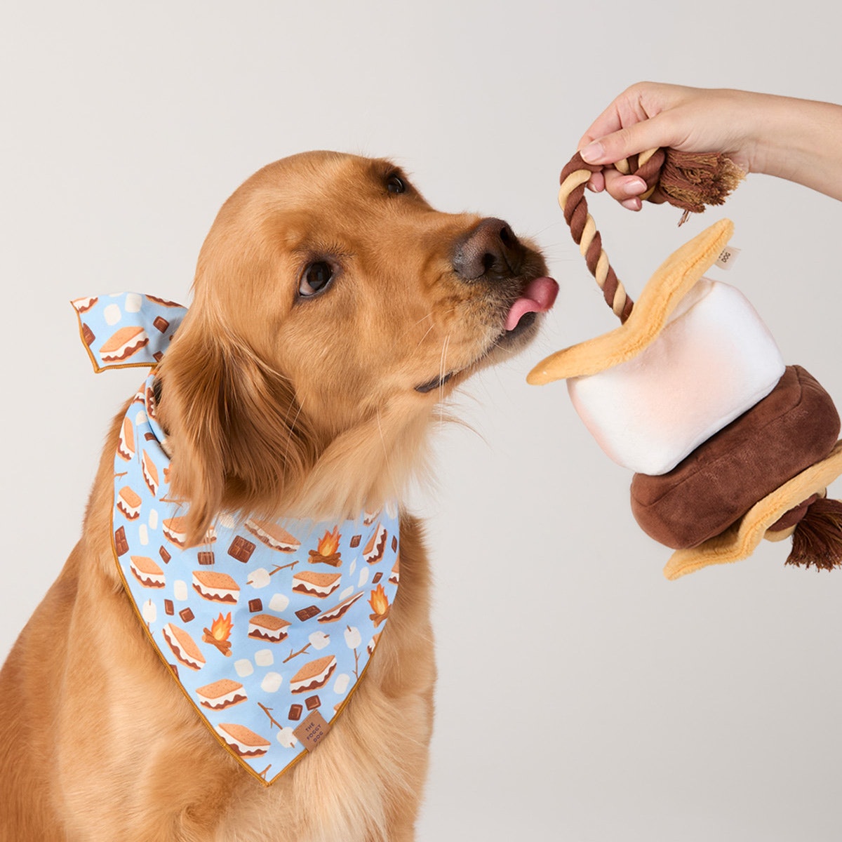 S’more Interactive Snuffle Dog Toy from The Foggy Dog