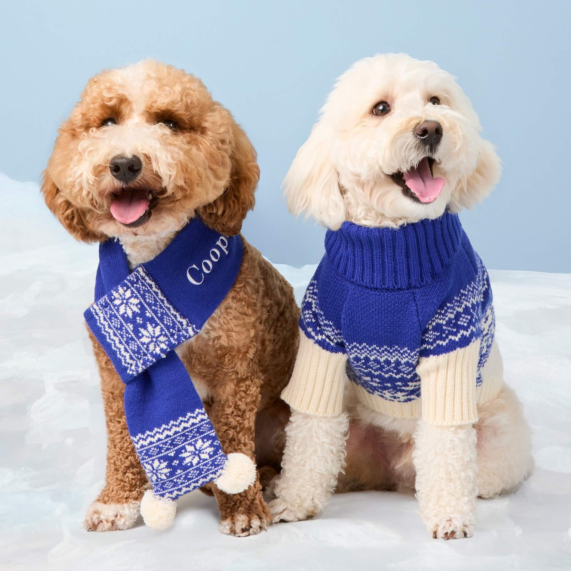 #Modeled by Mabel (18lbs) in Medium