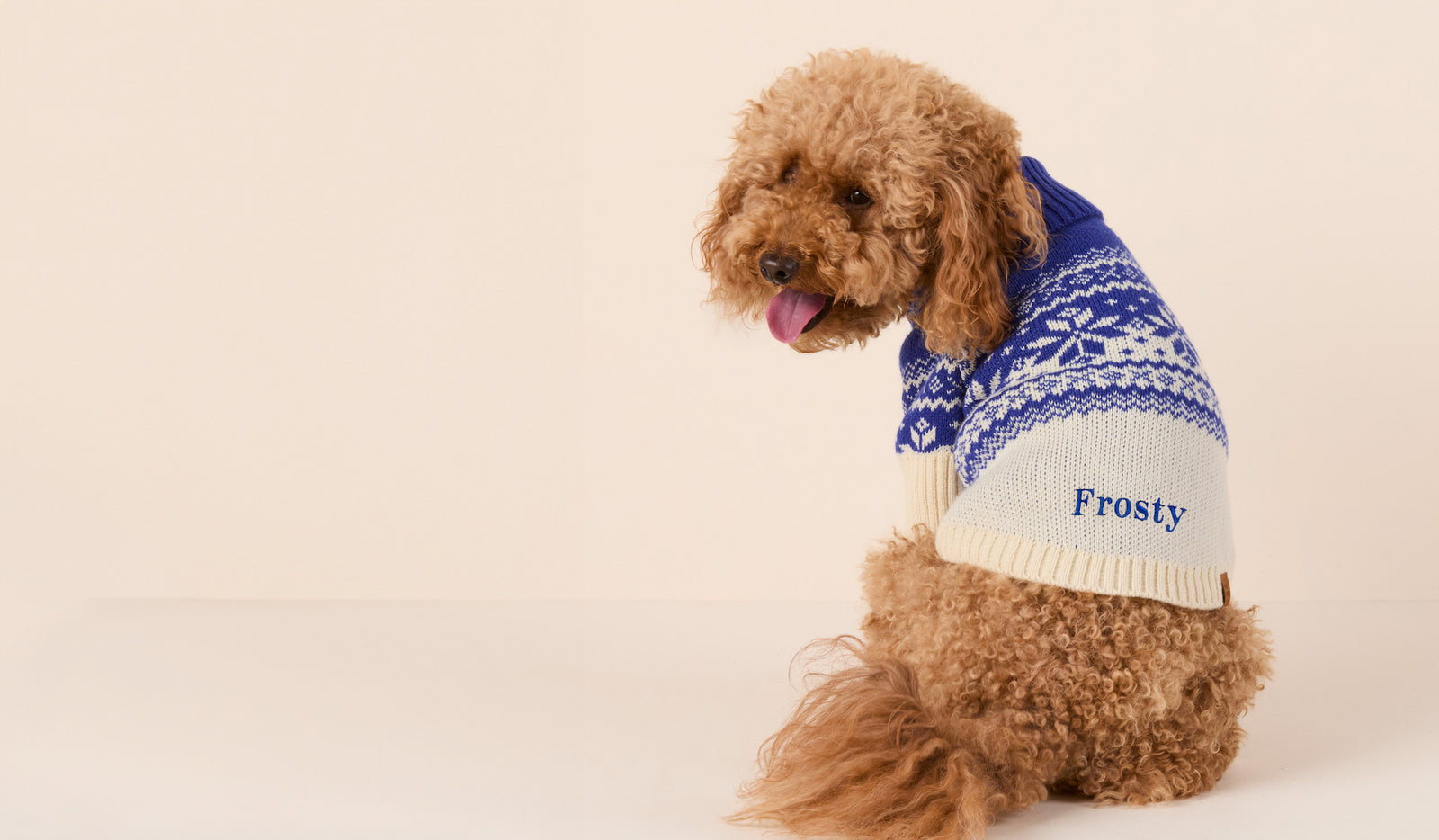 Embroidered Snow Day Dog Sweater from The Foggy Dog