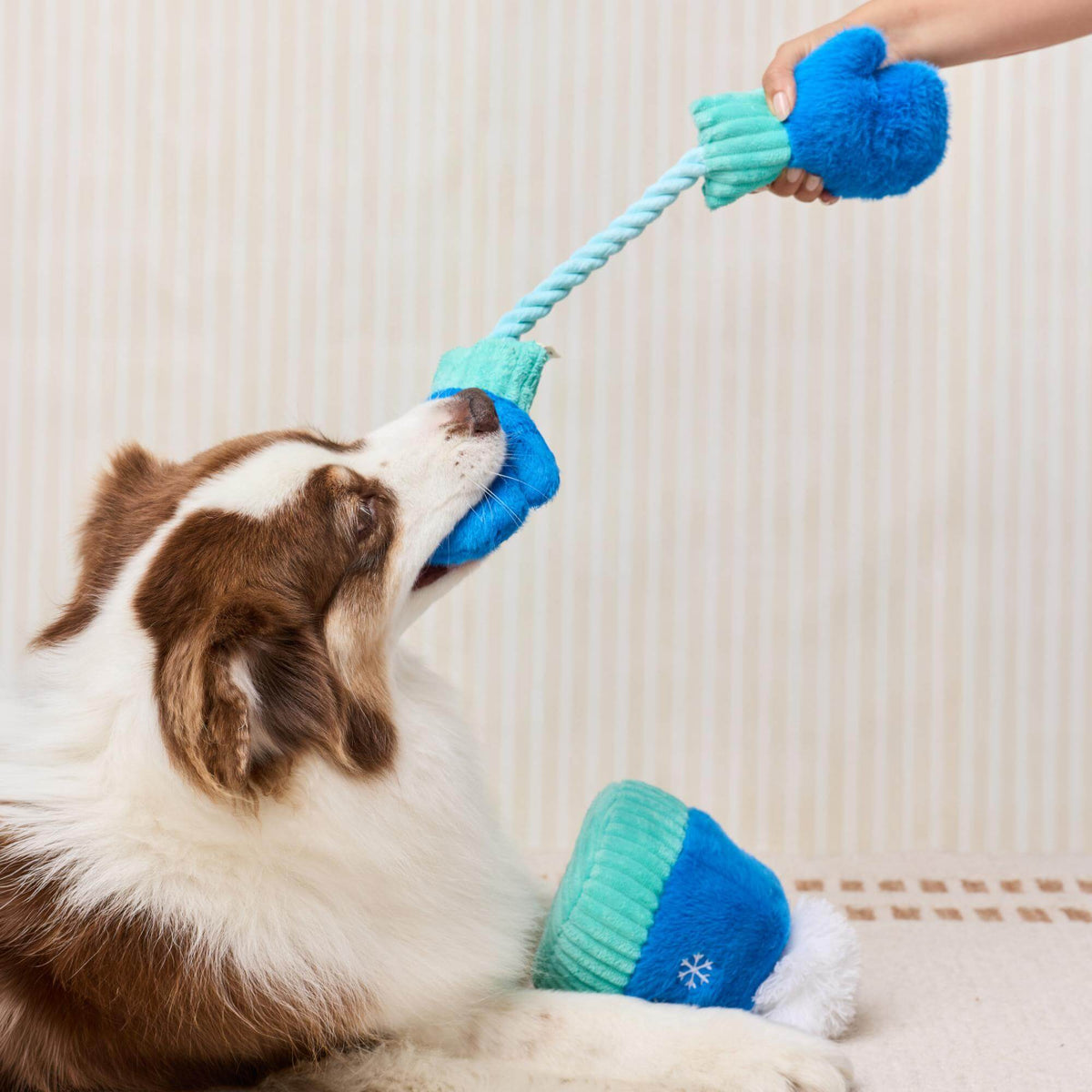Snow Much Fun Interactive Snuffle Dog Toy Set from The Foggy Dog