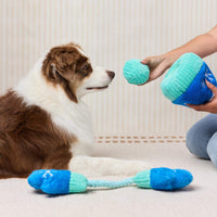 Snow Much Fun Interactive Snuffle Dog Toy Set from The Foggy Dog