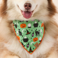 #Modeled by Rouka (37lbs) in Medium