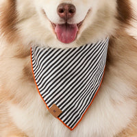 #Modeled by Rouka (37lbs) in Medium