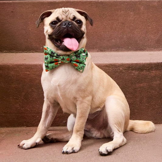 #Modeled by Ezra (15lbs) in a Medium collar and Large bow tie