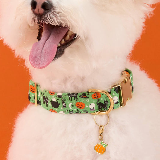 #Modeled by Mochi (14lbs) in Small