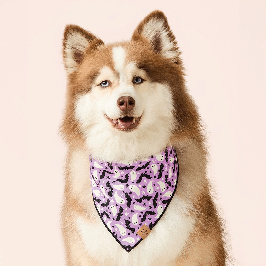 Spooky Season Reversible Dog Bandana from The Foggy Dog