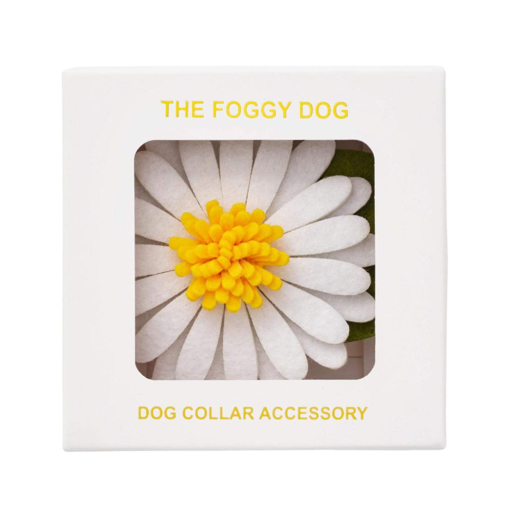 Daisy Dog Collar Flower from The Foggy Dog
