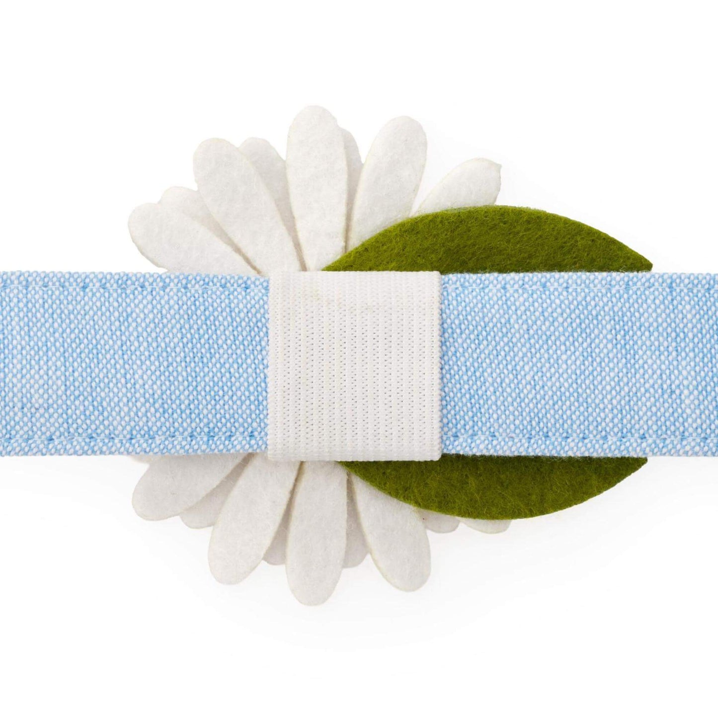Daisy Dog Collar Flower Set from The Foggy Dog
