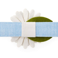 Daisy Dog Collar Flower Set from The Foggy Dog