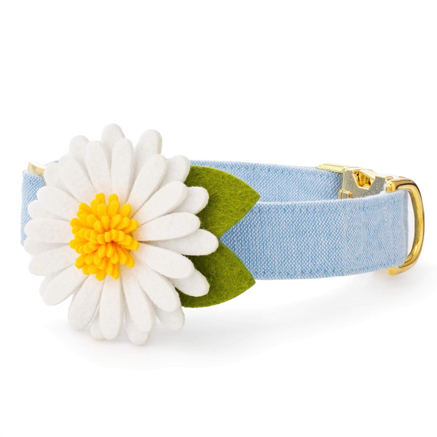 Daisy Dog Collar Flower Set from The Foggy Dog