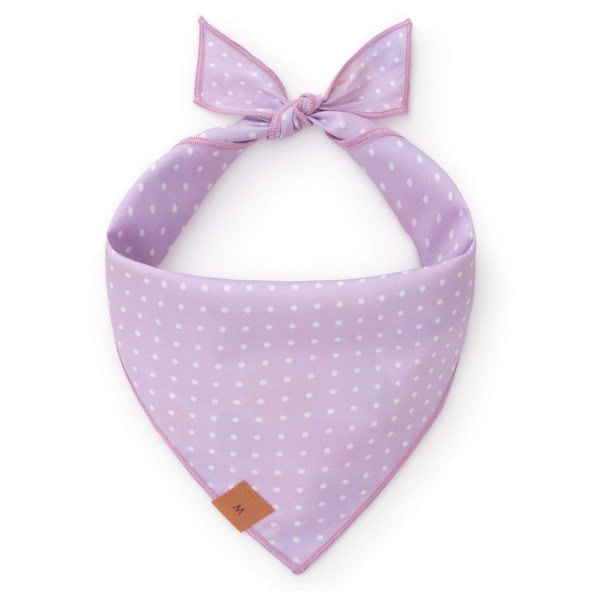 Easter Eggs Reversible Dog Bandana from The Foggy Dog