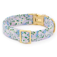 Flora Dog Collar from The Foggy Dog