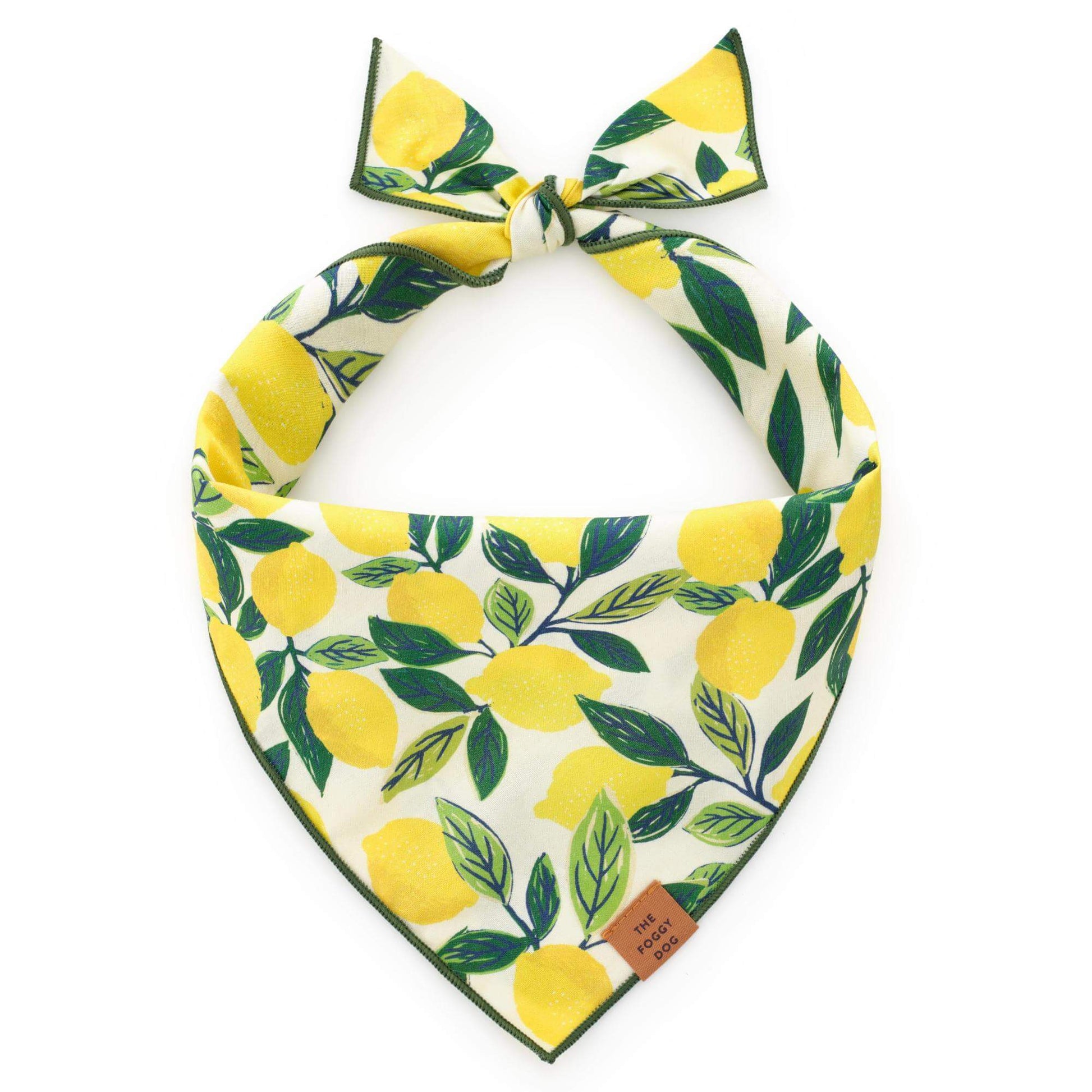 Lemon Zest Dog Bandana from The Foggy Dog