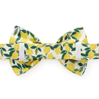 Lemon Zest Dog Bow Tie from The Foggy Dog