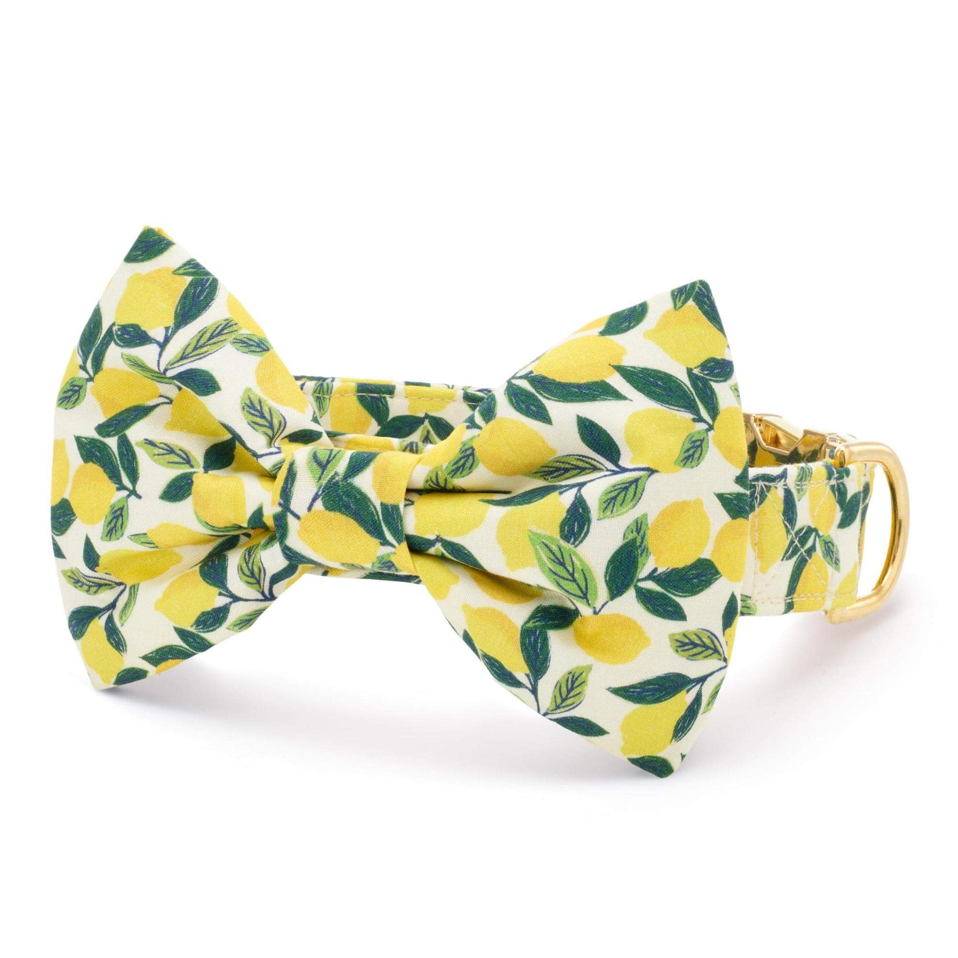 Lemon Zest Bow Tie Collar from The Foggy Dog