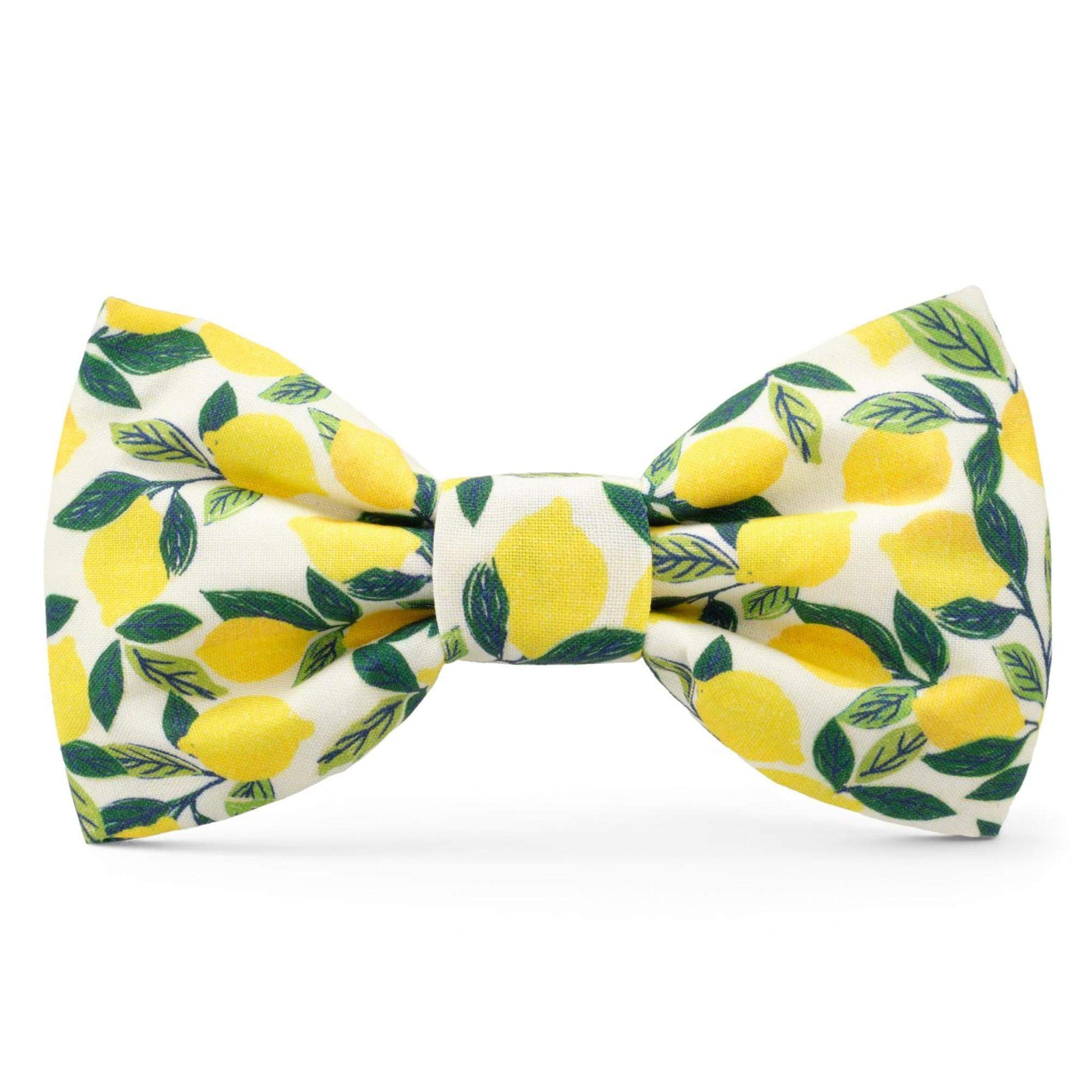 Lemon Zest Dog Bow Tie from The Foggy Dog