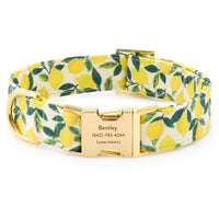 Lemon Zest Dog Collar from The Foggy Dog