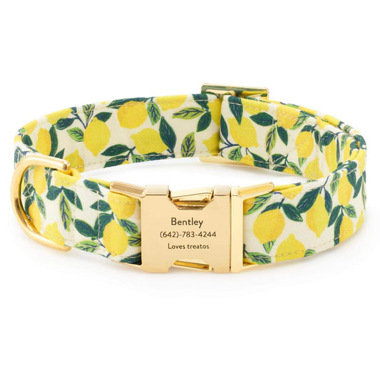 Lemon Zest Dog Collar from The Foggy Dog