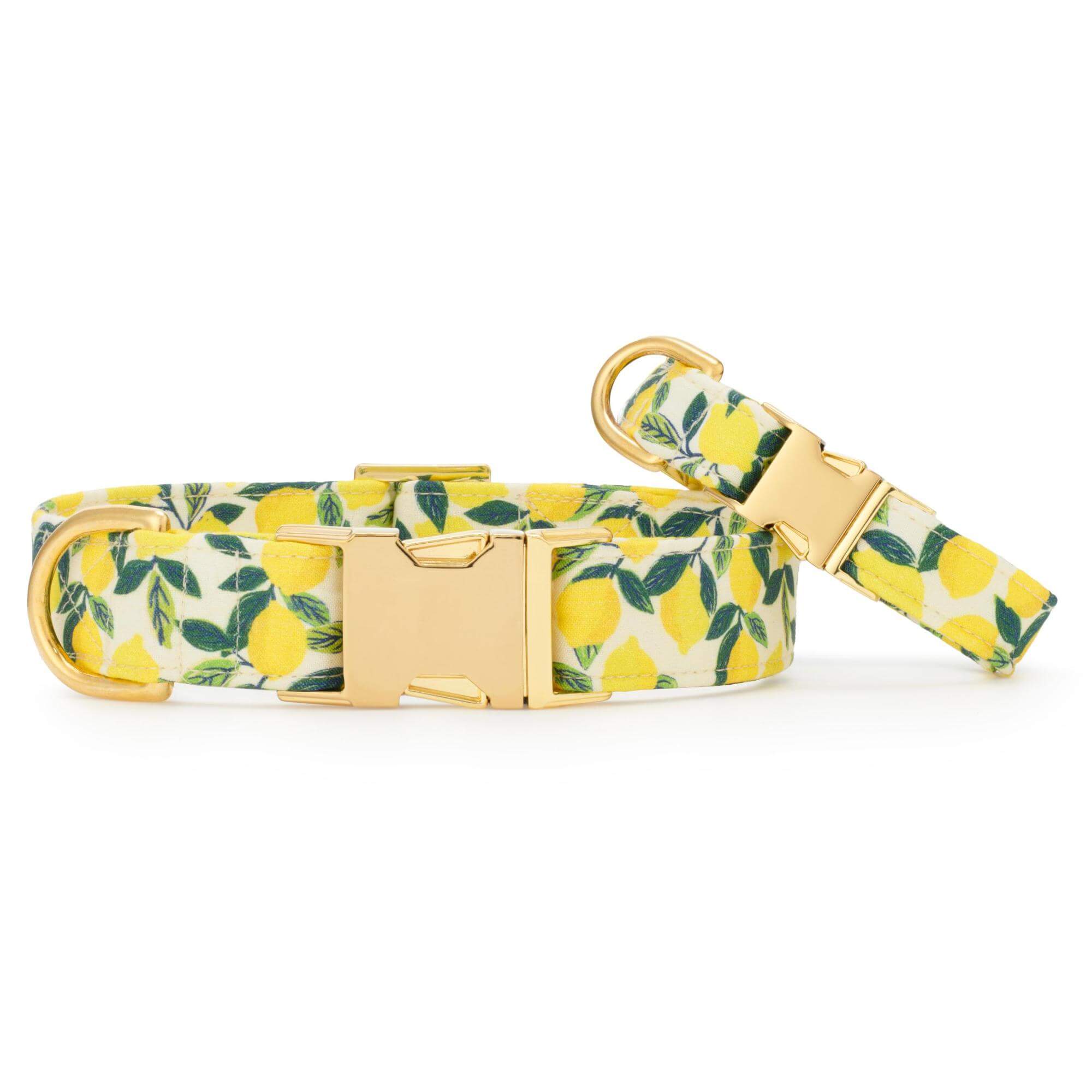Lemon Zest Dog Collar – The Foggy Dog