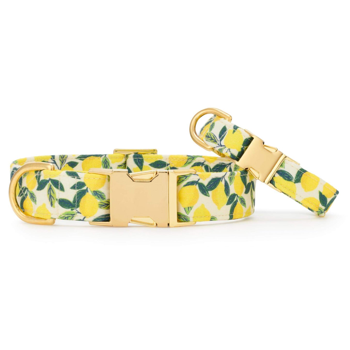 Lemon Zest Dog Collar from The Foggy Dog