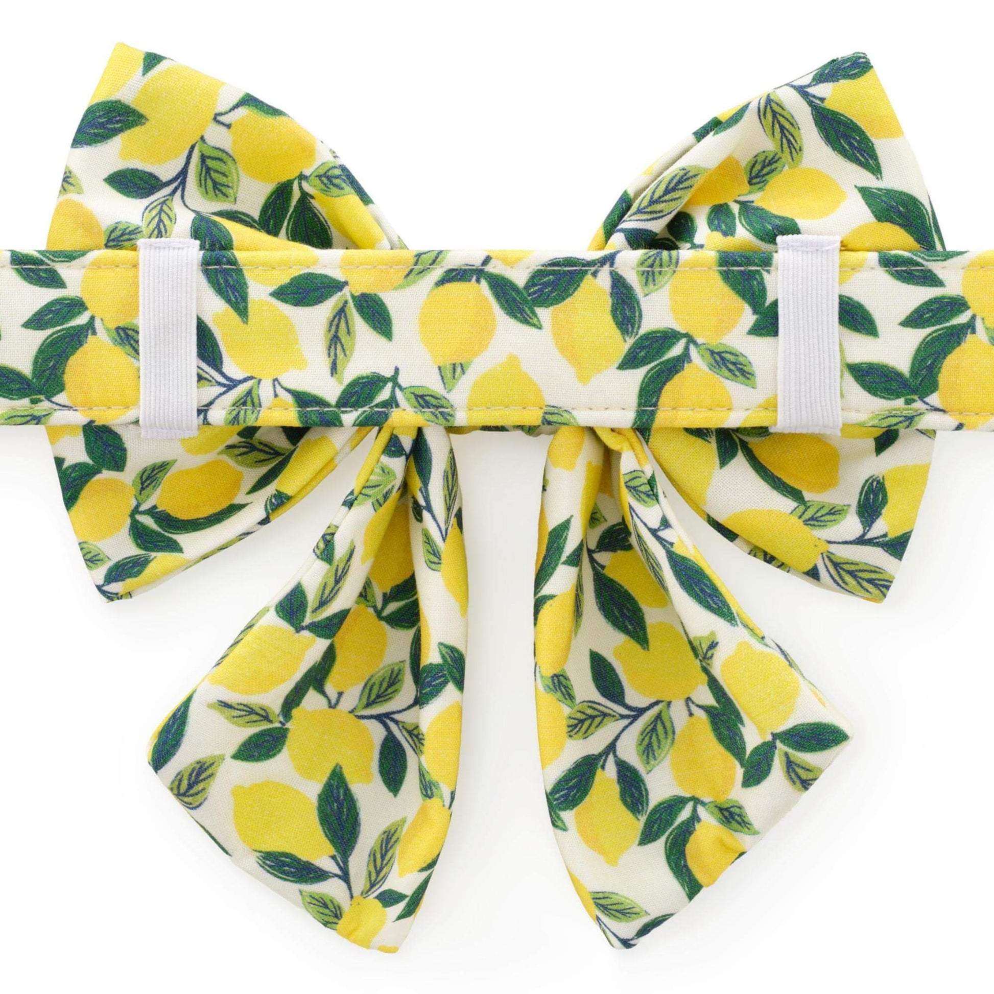 Lemon Zest Lady Bow Collar from The Foggy Dog