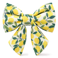 Lemon Zest Lady Dog Bow from The Foggy Dog