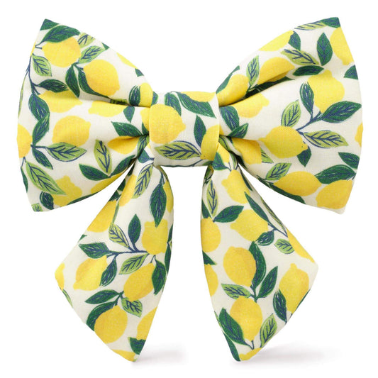 Lemon Zest Lady Dog Bow from The Foggy Dog
