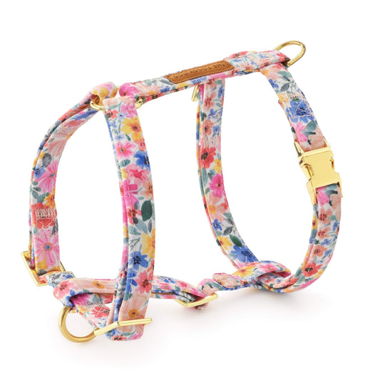 Margaux Dog Harness from The Foggy Dog