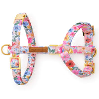 Margaux Dog Harness from The Foggy Dog