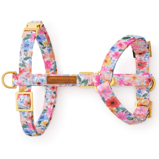 Margaux Dog Harness from The Foggy Dog