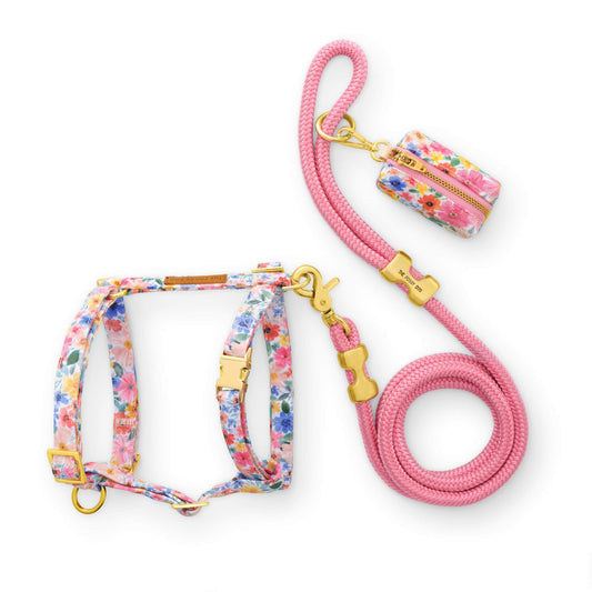 Margaux Harness Walk Set from The Foggy Dog