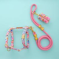 Margaux Harness Walk Set from The Foggy Dog