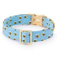 Sweet as Can Bee Dog Collar from The Foggy Dog