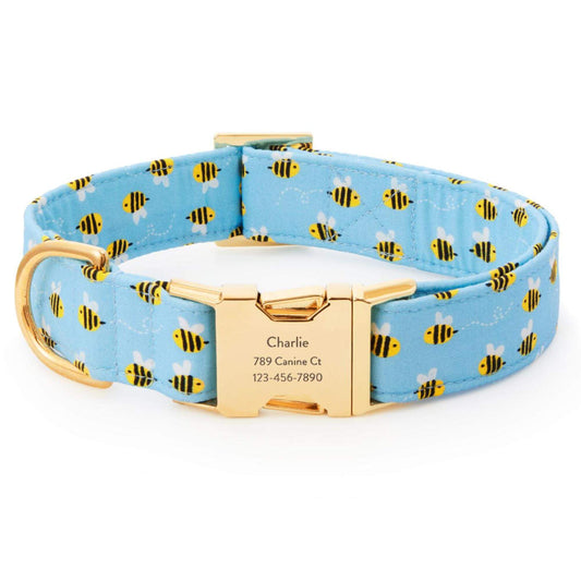 Sweet as Can Bee Dog Collar from The Foggy Dog
