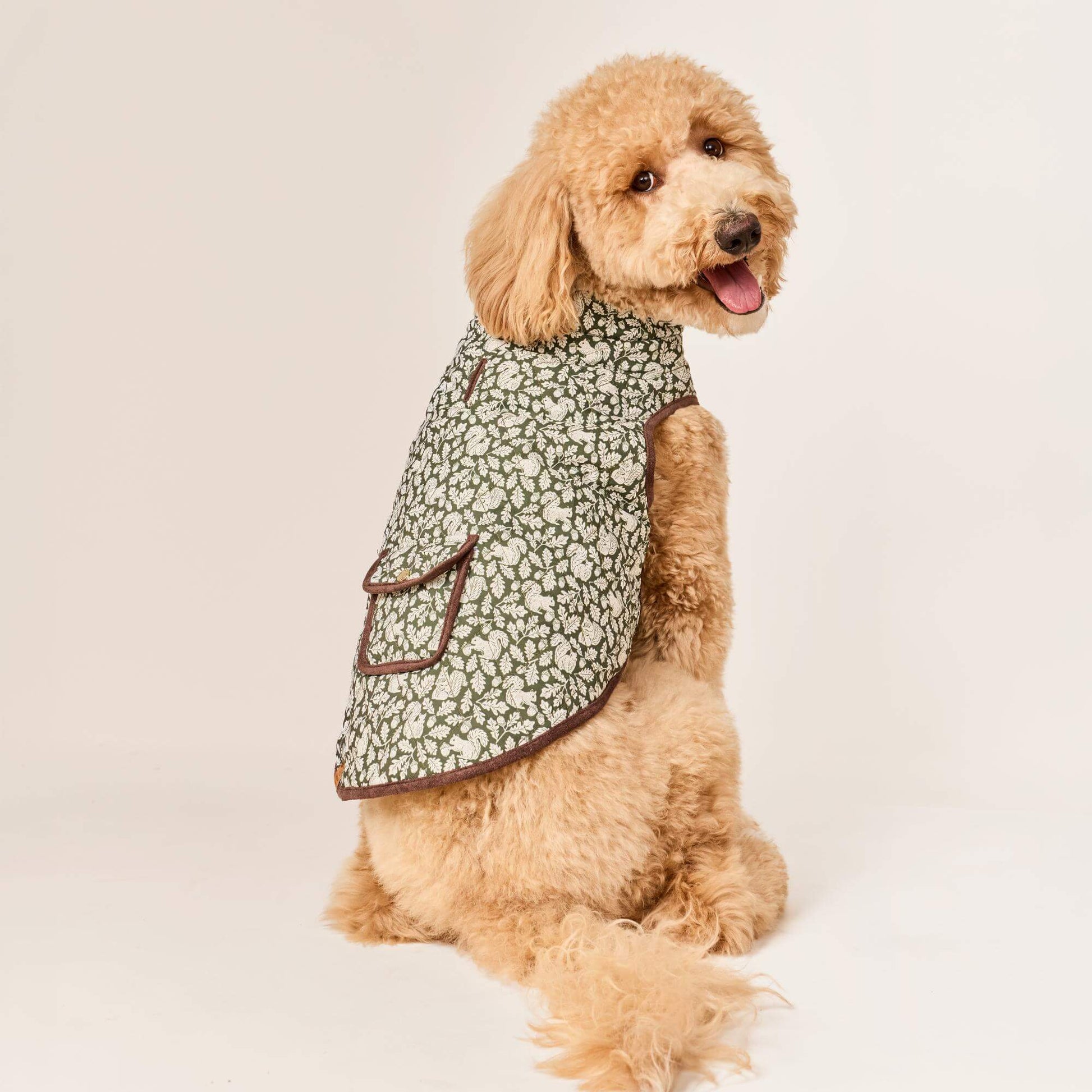 #Modeled by Luna (40lbs) in Large