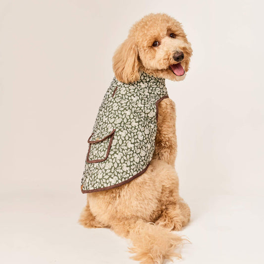 Olive Reversible Dog Jacket view 2