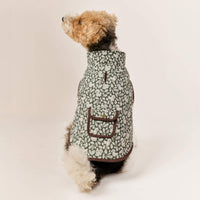 #Modeled by Sesame (27lbs) in Medium