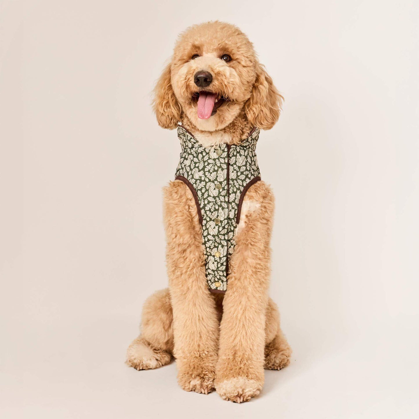 #Modeled by Luna (40lbs) in Large