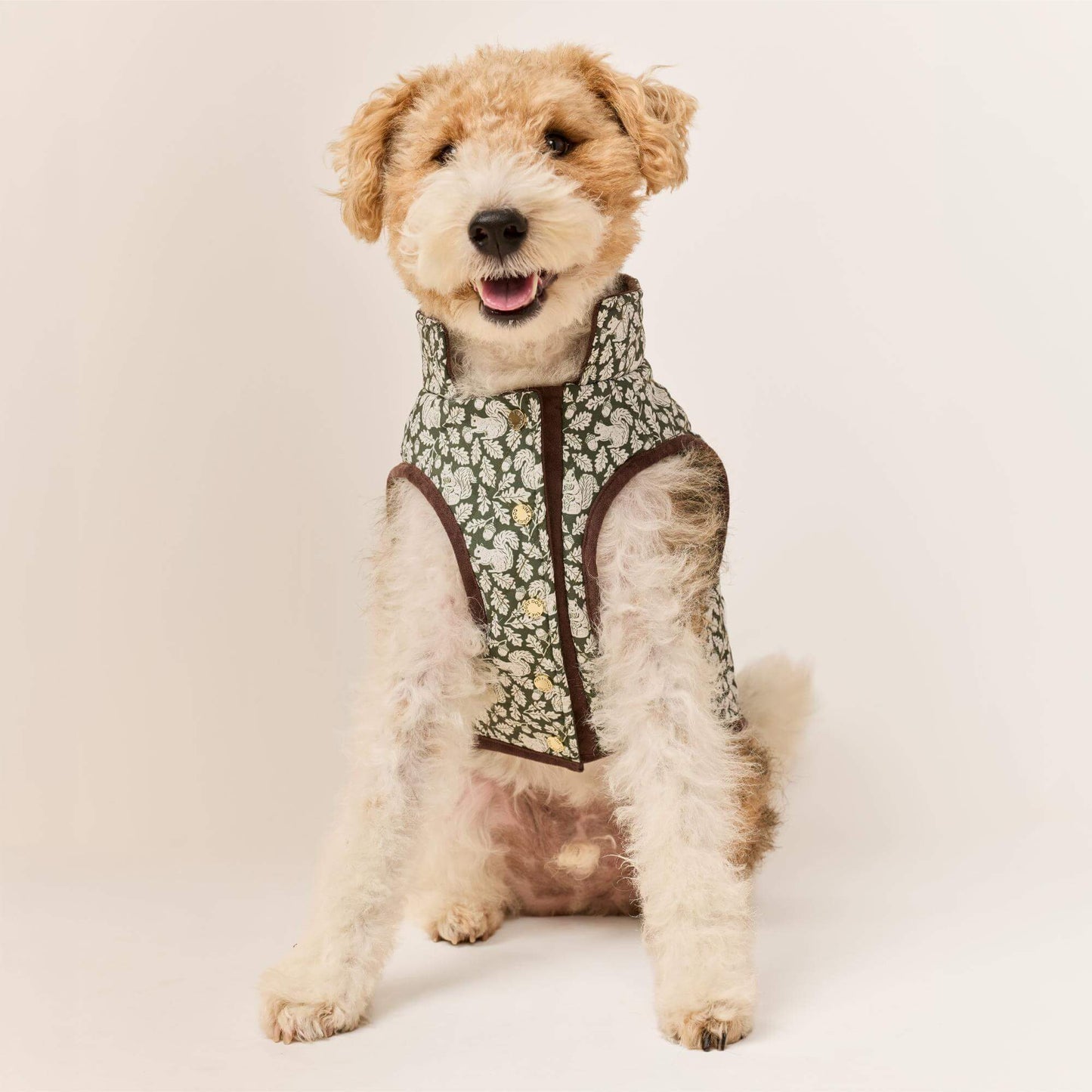 #Modeled by Sesame (27lbs) in Medium