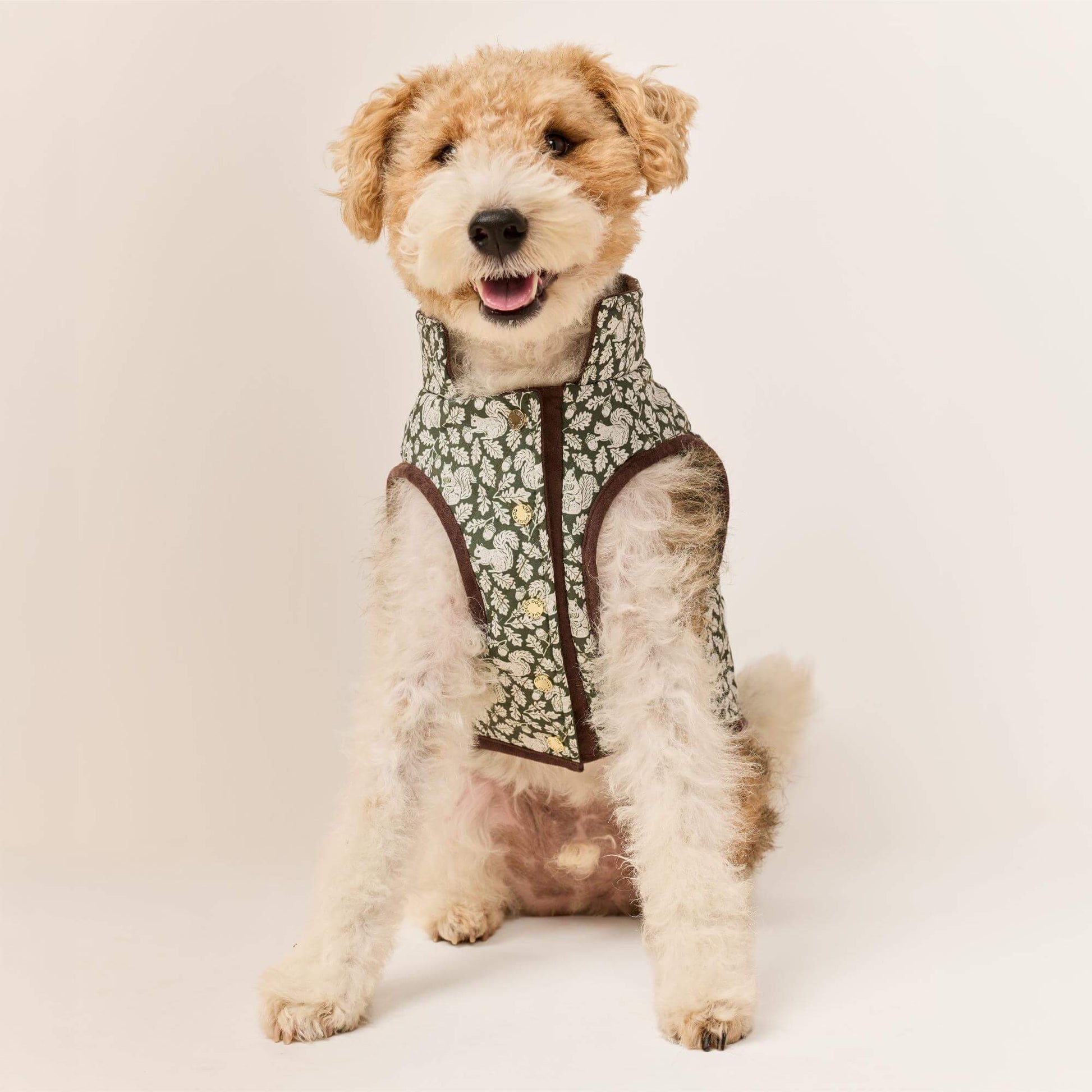 #Modeled by Sesame (27lbs) in Medium