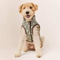 #Modeled by Sesame (27lbs) in Medium