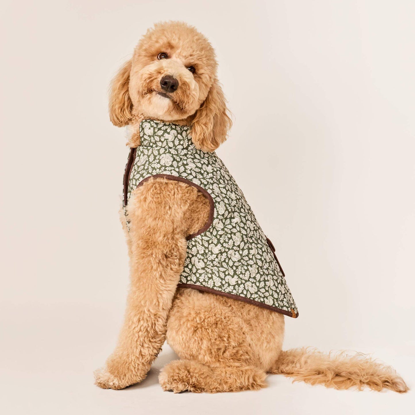 #Modeled by Luna (40lbs) in Large