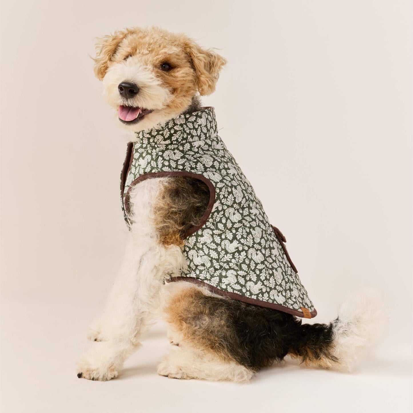 #Modeled by Sesame (27lbs) in Medium