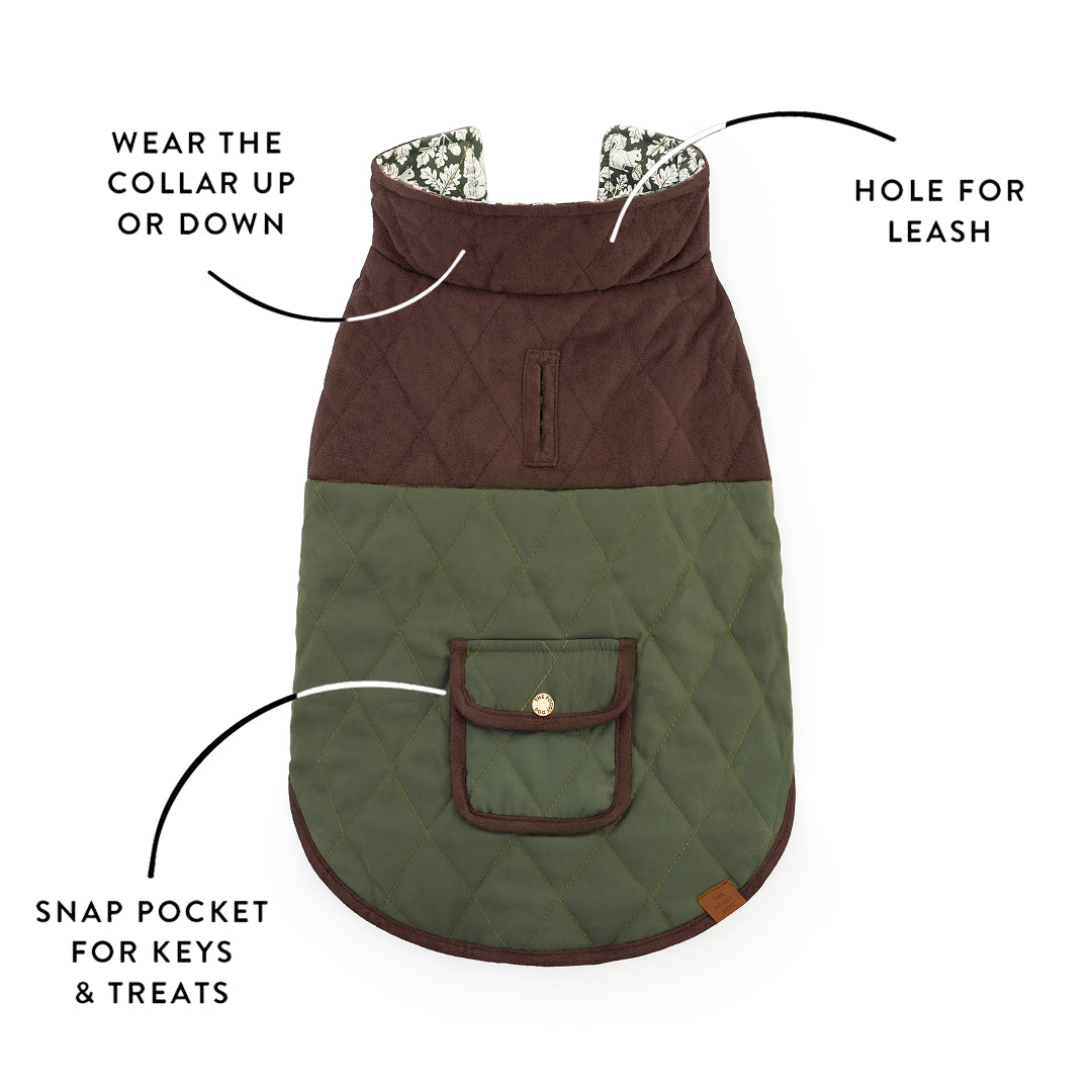 Olive Reversible Dog Jacket from The Foggy Dog