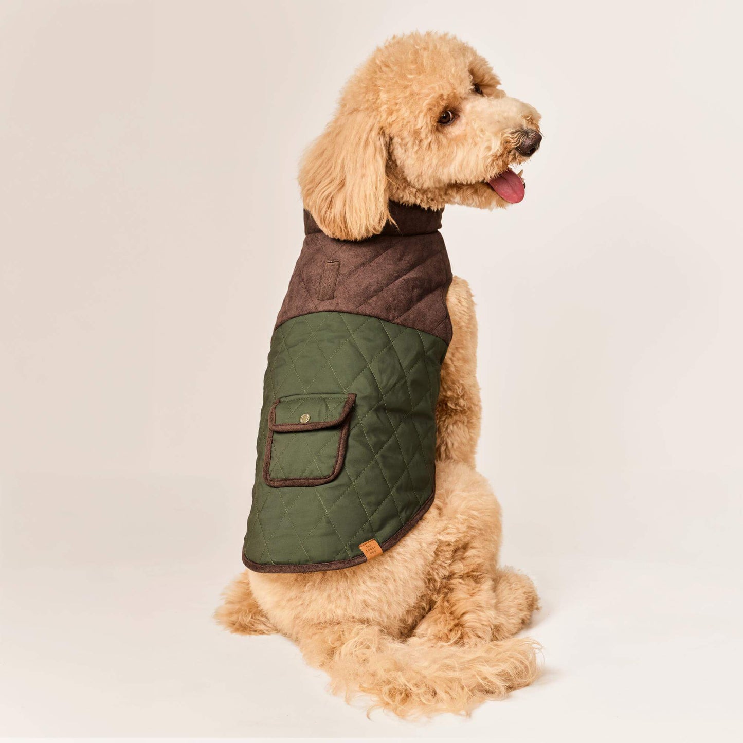 #Modeled by Luna (40lbs) in Large