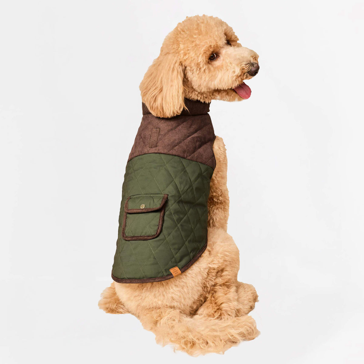 #Modeled by Luna (40lbs) in Large