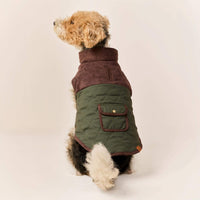 #Modeled by Sesame (27lbs) in Medium