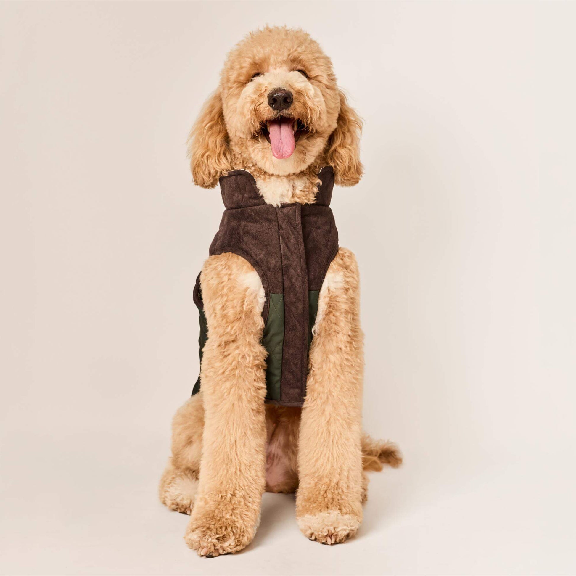 #Modeled by Luna (40lbs) in Large