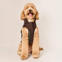 #Modeled by Luna (40lbs) in Large