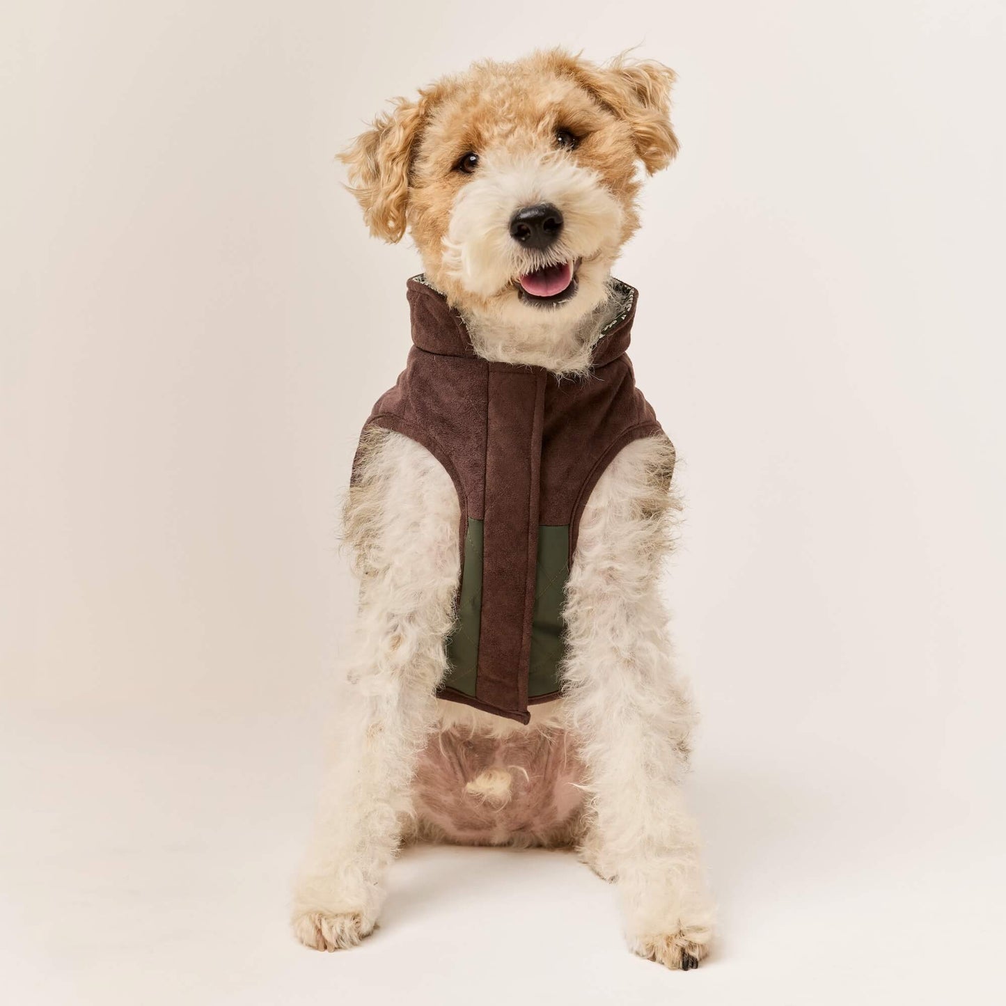 #Modeled by Sesame (27lbs) in Medium